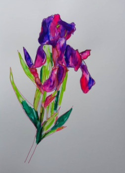 Impression Iris Auf der ARTactif-Website