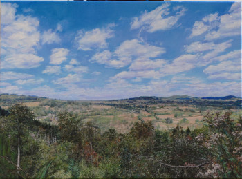 Zeitgenössisches Werk mit dem Titel « "Roussillon en Morvan vu de la route du Mizieux" », Erstellt von MONIQUE LOWY