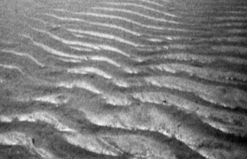 Zeitgenössisches Werk mit dem Titel « Ondes de sable sur la plage », Erstellt von CASSANDRE