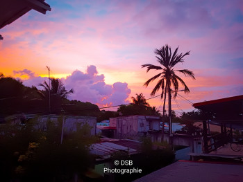 Zeitgenössisches Werk mit dem Titel « Paradise Islands ? », Erstellt von NYXARTSDCO