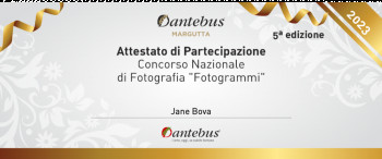 Zeitgenössisches Werk mit dem Titel « participation au concours italien », Erstellt von JANE BOVA