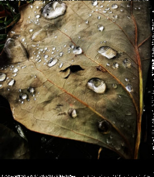 Zeitgenössisches Werk mit dem Titel « Goutte d'eau », Erstellt von LILA SAN