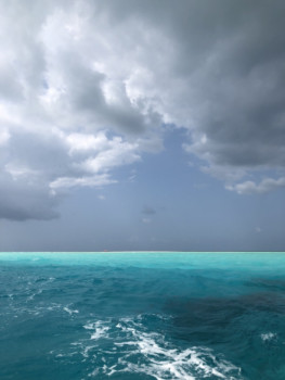 Zeitgenössisches Werk mit dem Titel « Ocean view », Erstellt von FREDERIC CHEVALIER