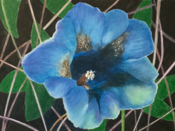 Zeitgenössisches Werk mit dem Titel « FLEUR SAUVAGE BLEUE », Erstellt von JACQUES TAFFOREAU