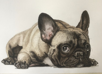 Zeitgenössisches Werk mit dem Titel « Bouledogue français », Erstellt von CHANTALDEBLAUWEAQUARELLES