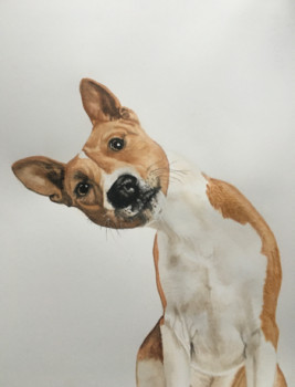 Zeitgenössisches Werk mit dem Titel « Jack Russel », Erstellt von CHANTALDEBLAUWEAQUARELLES