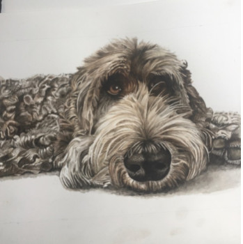 Zeitgenössisches Werk mit dem Titel « Labradoodle », Erstellt von CHANTALDEBLAUWEAQUARELLES