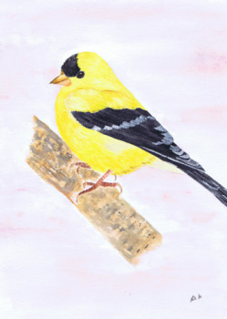 Zeitgenössisches Werk mit dem Titel « American Goldfinch », Erstellt von MIHA