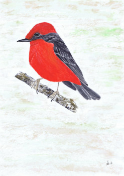 Zeitgenössisches Werk mit dem Titel « Vermillion Flycatcher », Erstellt von MIHA