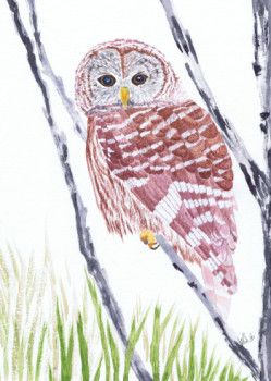 Zeitgenössisches Werk mit dem Titel « Barred owl », Erstellt von MIHA