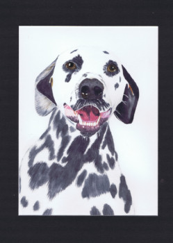 Zeitgenössisches Werk mit dem Titel « Portrait chien dalmatien - Dadou », Erstellt von MIHA