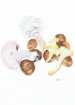 Zeitgenössisches Werk mit dem Titel « Hello automn - mushroom is here », Erstellt von MIHA