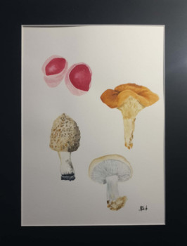 Zeitgenössisches Werk mit dem Titel « FUNGI CHALLENGE II », Erstellt von MIHA