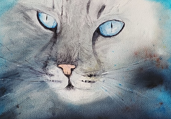 Zeitgenössisches Werk mit dem Titel « Chat aux yeux bleus », Erstellt von CHRYSTèLE BOURéLY