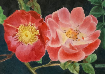 Zeitgenössisches Werk mit dem Titel « Fleur de rosiers sauvages », Erstellt von JACQUES TAFFOREAU