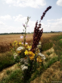 Zeitgenössisches Werk mit dem Titel « Fleurs des champs », Erstellt von MARIE DUBOIS