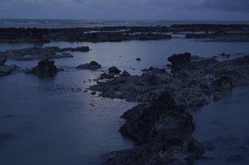 Zeitgenössisches Werk mit dem Titel « Bord de mer, Normandie », Erstellt von MARIE HARRY