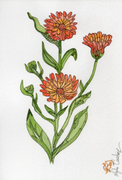 Zeitgenössisches Werk mit dem Titel « Calendula », Erstellt von LYDIE COURBIER