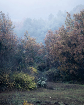 Zeitgenössisches Werk mit dem Titel « Photo de paysage vu de ma fenêtre », Erstellt von ONEPICS