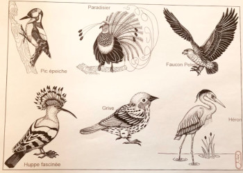 Zeitgenössisches Werk mit dem Titel « Planche oiseaux », Erstellt von MARILOU BRUN