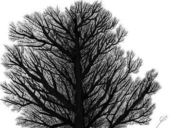 Zeitgenössisches Werk mit dem Titel « Arbre », Erstellt von STYLOBICMICRON