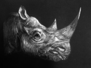 Zeitgenössisches Werk mit dem Titel « Rhinocéros », Erstellt von EG