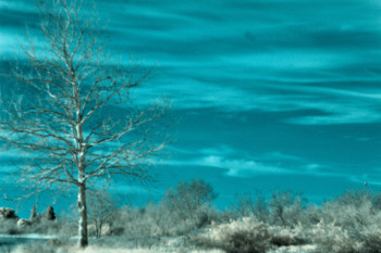 Zeitgenössisches Werk mit dem Titel « Paysage bleu », Erstellt von MARION BORELLE