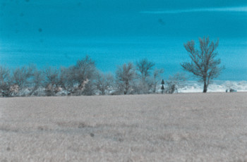 Zeitgenössisches Werk mit dem Titel « Bleu Camargue II », Erstellt von MARION BORELLE