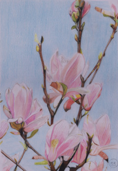 Zeitgenössisches Werk mit dem Titel « Magnolia ... le printemps est là. », Erstellt von PIRDESSINS