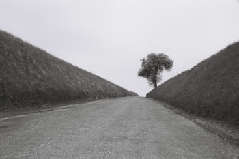 Zeitgenössisches Werk mit dem Titel « Le chemin », Erstellt von ALINE TAIEB