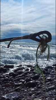 Zeitgenössisches Werk mit dem Titel « Un ojo al mar », Erstellt von DIEGO MOLL