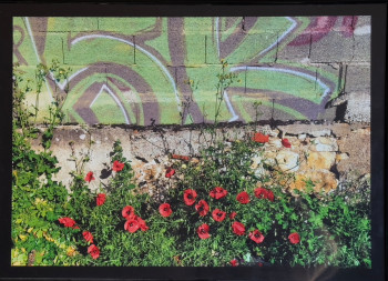 Zeitgenössisches Werk mit dem Titel « Coquelicots. », Erstellt von BELMUDéS