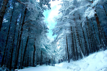 Zeitgenössisches Werk mit dem Titel « Reino de invierno », Erstellt von DECOLORFEROZ