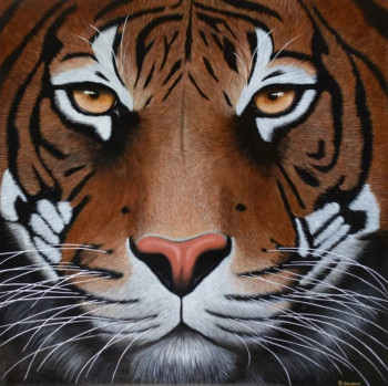 Zeitgenössisches Werk mit dem Titel « Tigre », Erstellt von SANDRA SALDAñA