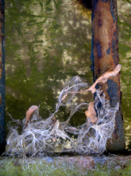 Zeitgenössisches Werk mit dem Titel « Mardef photo 3 », Erstellt von MARDEF