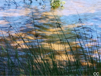 Zeitgenössisches Werk mit dem Titel « Summer lake », Erstellt von CC