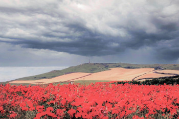 Zeitgenössisches Werk mit dem Titel « Gentils Coquelicots sous le ciel du BLANC NEZ », Erstellt von CATOPALE