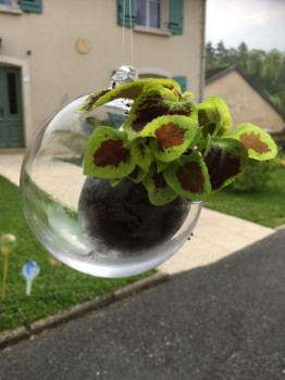 Zeitgenössisches Werk mit dem Titel « Suspensions florales », Erstellt von ANGELINE DISSOUBRAY LE VERRE AU PLUS PROCHE DE VOTRE NATURE