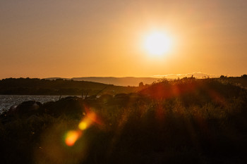 Zeitgenössisches Werk mit dem Titel « Etang de l'Ayrolle », Erstellt von PHOTOSNICO