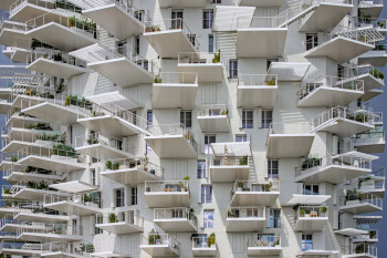 Zeitgenössisches Werk mit dem Titel « L'ARBRE BLANC », Erstellt von FREDERIC LEGRAS