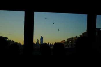 Zeitgenössisches Werk mit dem Titel « Birds near NYC », Erstellt von HERVE PEZZINI