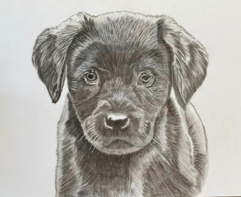 Zeitgenössisches Werk mit dem Titel « Chiot Labrador Chocolat », Erstellt von LES PORTRAITS DE TOSCANE