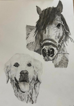 Zeitgenössisches Werk mit dem Titel « Duo poney/golden retriever », Erstellt von LES PORTRAITS DE TOSCANE