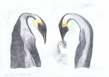 Zeitgenössisches Werk mit dem Titel « Pinguine Familie », Erstellt von ABDELGHAFAR