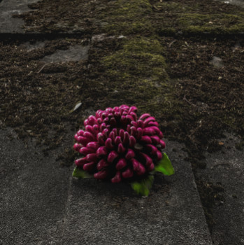 Zeitgenössisches Werk mit dem Titel « fleur éternelle #1 », Erstellt von JO BESGOTT