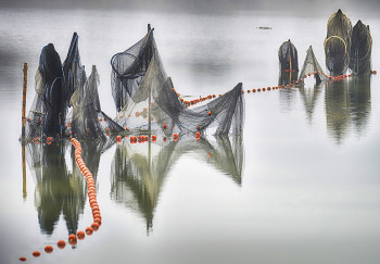 Zeitgenössisches Werk mit dem Titel « Filets à Bages d'Aude », Erstellt von FANFAN FOTO