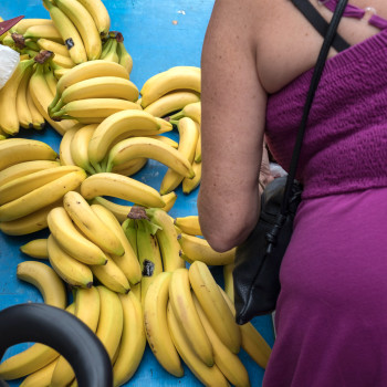 Zeitgenössisches Werk mit dem Titel « Bananes », Erstellt von ALAIN MACHELIDON