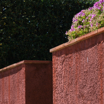 Zeitgenössisches Werk mit dem Titel « Mur fleuri », Erstellt von ALAIN MACHELIDON