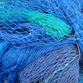 Zeitgenössisches Werk mit dem Titel « Filets bleus », Erstellt von ALAIN MACHELIDON