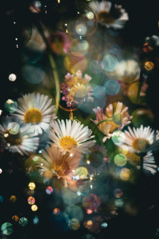 Zeitgenössisches Werk mit dem Titel « Bulles de Fleurs - Aluminium mat », Erstellt von MISS K PHOTOS